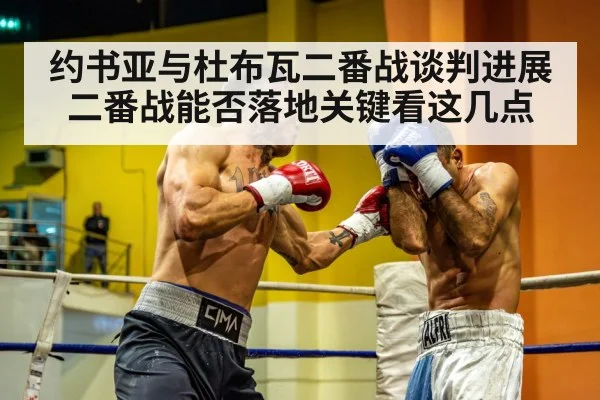 约书亚与杜布瓦二番战谈判进展 二番战能否落地关键看这几点